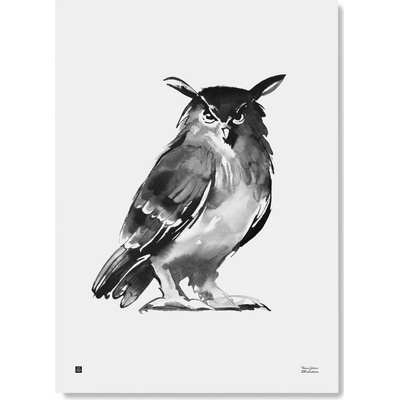 Teemu Järvi Plagát s motívom sovy Eagle Owl 50x70
