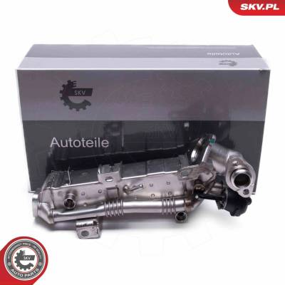 AGR - Ventil ESEN SKV 14SKV239