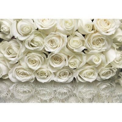 Komar Papírová fototapeta A la Rose rozměry 368 x 254 cm