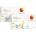 CooperVision Proclear Multifocal Toric (6 лещи)