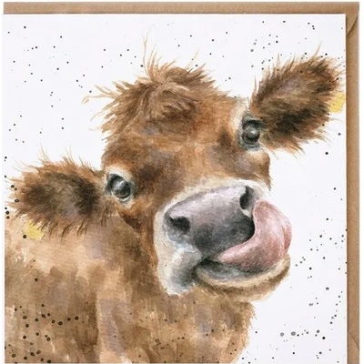 Přání Wrendale Designs "Mooooo", 15x15 cm - Kráva