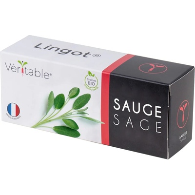 veritable Семена Градински Чай листа VERITABLE Lingot® Sage Organic (VLIN-A10-Sau00B)