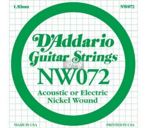 D'Addario NW 072