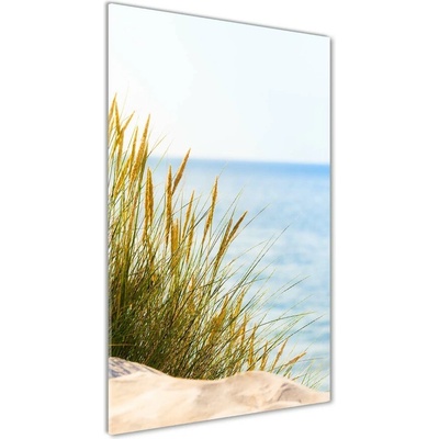 Vertikálny foto obraz sklo tvrdené Morské duny 50x100 cm