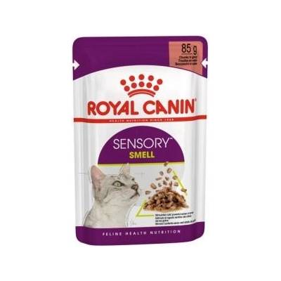 12 x Royal Canin kapsička Sensory Smell in gravy 85 g