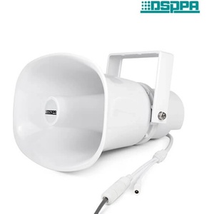 DSPPA POE170 Тонколони