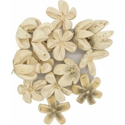 2632 Kartush 5-7cm biel. 12ks