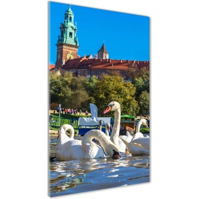 Vertikálny fotoobraz na skle Krakov Poľsko 50x100 cm