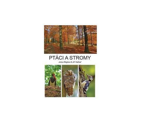 Ptáci a stromy