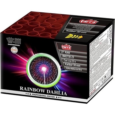 Rainbow Dahlia 27 ran