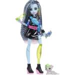 Mattel Monster High кукла чудовище, FRANKIE, JHK31 (JHK31)
