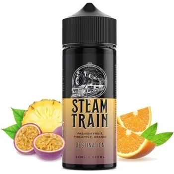 Steam Train Destination 324120ml
