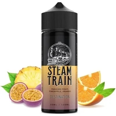 Steam Train Destination 24/120ml