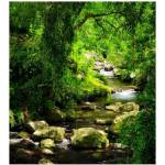 DIMEX ART Флизелинов фототапет планински поток 225 x 250 см