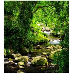 DIMEX ART Флизелинов фототапет планински поток 225 x 250 см