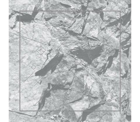 DONOSO RICARDO: DETERRENCE LP
