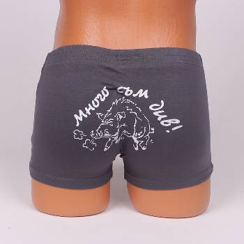 Памучен боксер в сив цвят със забавна апликация