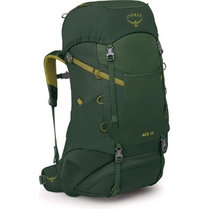 Osprey Детска детска раница Osprey Kid's Ace 38 Kids' backpack - Green Canopy / Matcha Green - размер One Size (508-0701-0211)