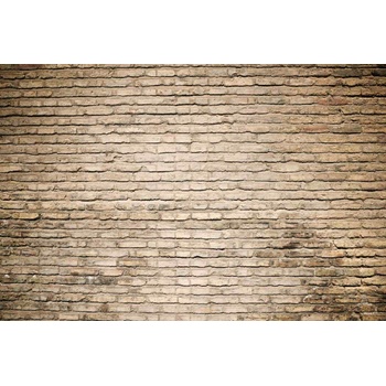 DIMEX ART s. r. o Флизелинов фототапет тухлен фон 375 x 250 см