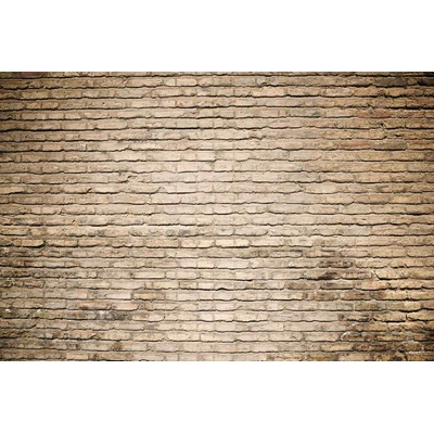 DIMEX ART Флизелинов фототапет тухлен фон 375 x 250 см