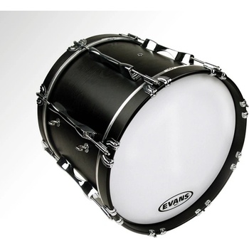 Evans BD16MX1W