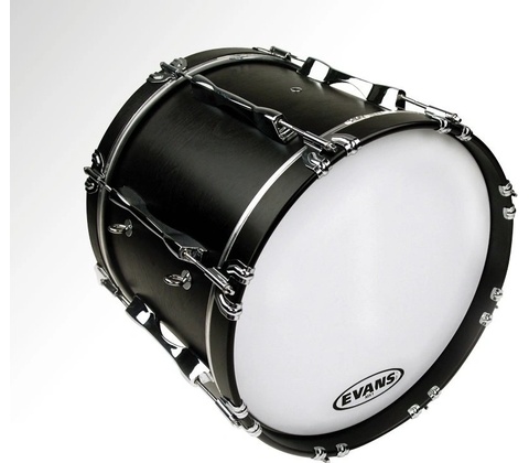 Evans BD16MX1W