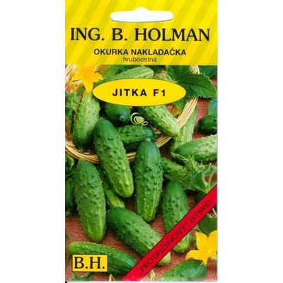 Okurka JITKA F1