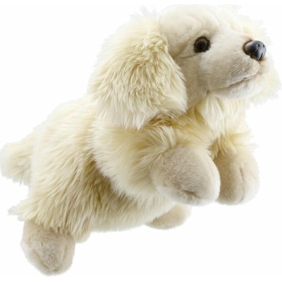 The Puppet Company Ltd. Maňuška na ruku - Zlatý retriever (Golden Retriever – Full-Bodied Animal Puppets 30 cm)