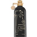 Montale Aqua Palma parfumovaná voda unisex 100 ml