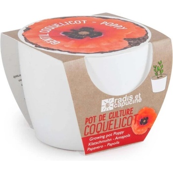 Image 1 of Radis et Capucine Бяла саксия Мак (029651)