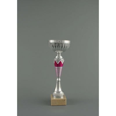 Stříbrno-růžový sportovní pohár 24 30 cm 24 cm