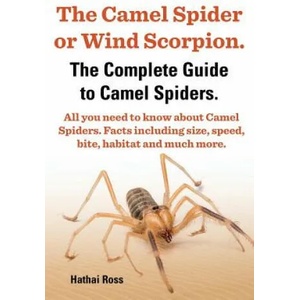 Camel Spider or Wind Scorpion, The Complete Guide to Camel Spiders. | Hathai Ross (ISBN: 9780992676728)
