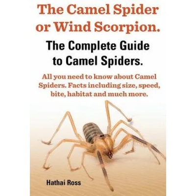Camel Spider or Wind Scorpion, The Complete Guide to Camel Spiders. | Hathai Ross