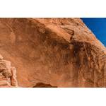 DIMEX ART Флизелинов фототапет национален паметник на динозаврите 375 x 250 см