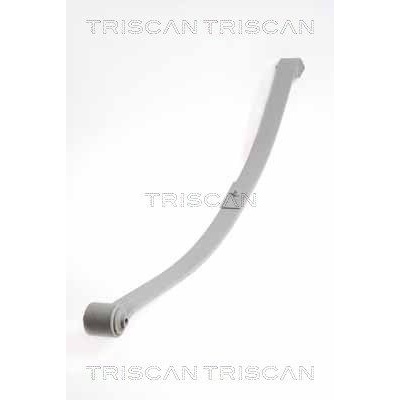 Sada pružin TRISCAN 8765 29020