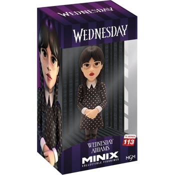 MINIX Netflix TV: Wednesday Wednesday Addams