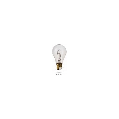 Wojnarowscy žárovka pro lokomotivy B-22 100W/110V
