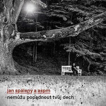 Jan Spálený - Nemůžu popadnout tvůj dech (CD) (0190295494612)