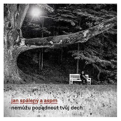 Jan Spálený A ASPM - Nemůžu popadnout tvůj dech (CD) (0190295494612)