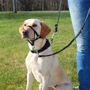 TRIXIE Postroj treningovy Top Trainer