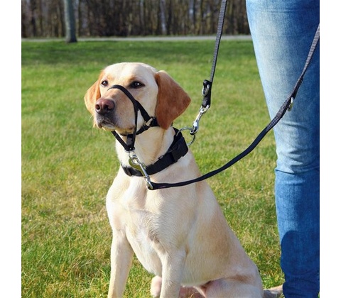 TRIXIE Postroj treningovy Top Trainer