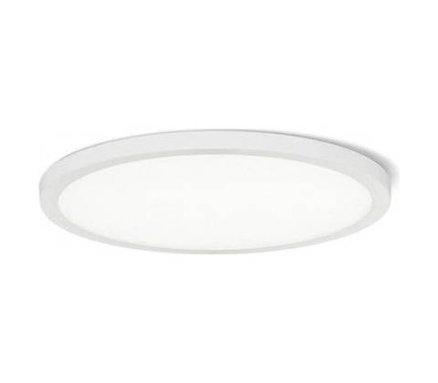 Rendl R12769