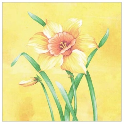 MANK 93195 obrúsky Airlaid Dinner Elvira 50ks 40x40cm