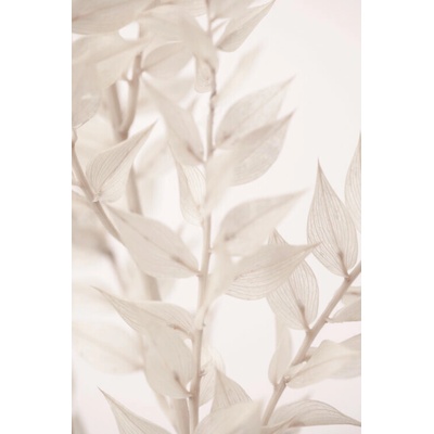 Plagát, Obraz - Dried Straws 3, Studio Collection, 26.7 × 40 cm