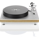 Clearaudio Performance DC