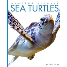 Sea Turtles Riggs Kate
