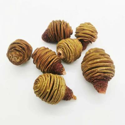 Platyspernum sulphurel loose medium - 500 gr
