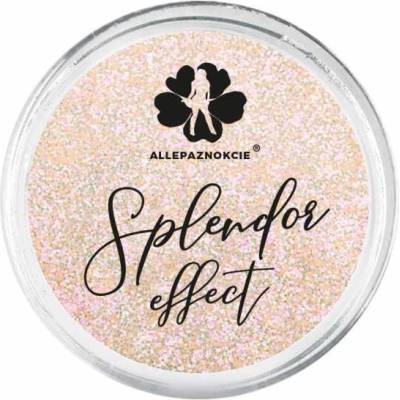 Trblietky na nechty Splendor effect 6