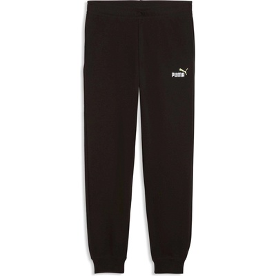 Essentials 2 color no. 1 logo sweatpants tr b 164