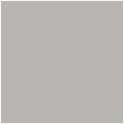 Rako GAA1K110 1m²